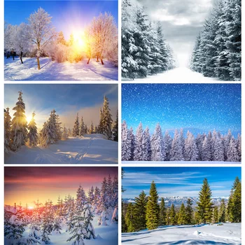 Фон за снимки зимни природни пейзажи на Гората, Снежен пейзаж, Фотофоны за пътуване, Студиен подпори 211121 DJXJ-02